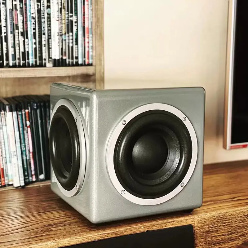 DSW6 Passive Subwoofer