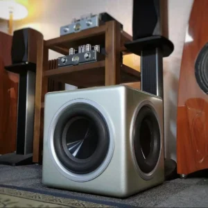 DSW8 ACTIVE SUBWOOFER